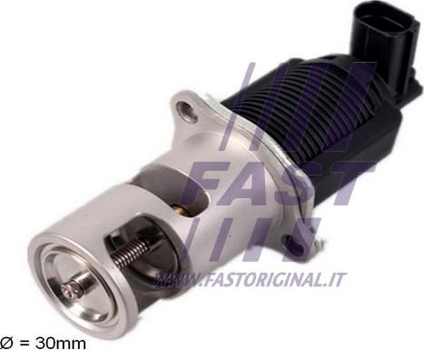 Fast FT60207 - Izpl. gāzu recirkulācijas vārsts autodraugiem.lv