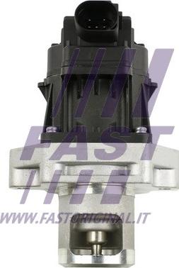 Fast FT60234 - Izpl. gāzu recirkulācijas vārsts autodraugiem.lv