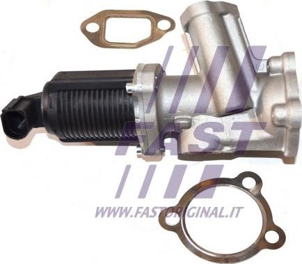 Fast FT60236 - Izpl. gāzu recirkulācijas vārsts autodraugiem.lv