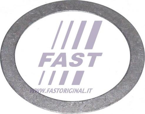 Fast FT62442 - Atbalstplāksne, Piedziņas vārpstas atloks autodraugiem.lv