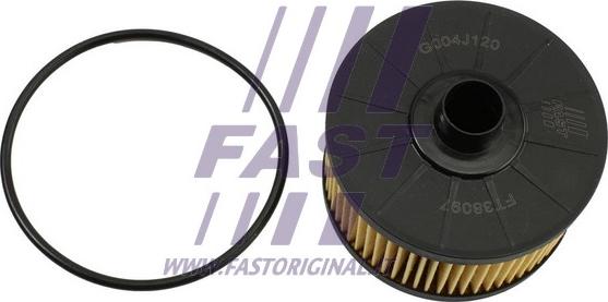Fast FT38097 - Eļļas filtrs autodraugiem.lv