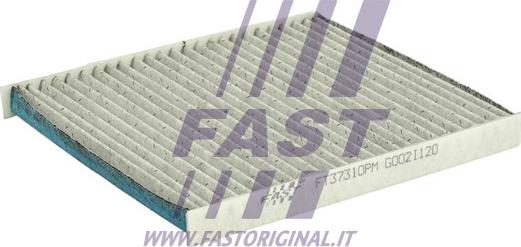 Fast FT37310PM - Filtrs, Salona telpas gaiss autodraugiem.lv