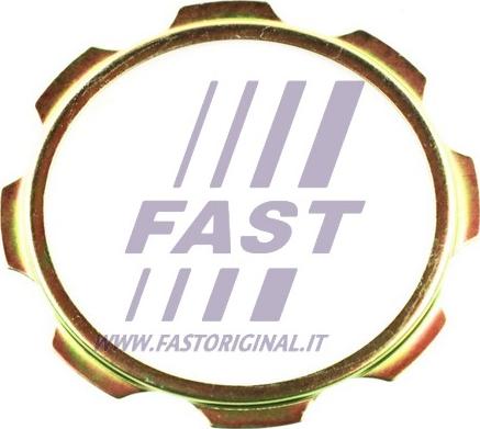 Fast FT26040 - Atbalstplāksne, Piedziņas vārpstas atloks autodraugiem.lv