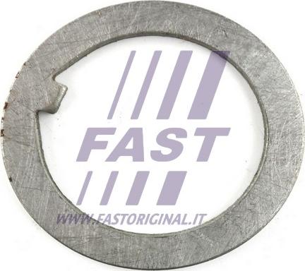 Fast FT26038 - Atbalstplāksne, Piedziņas vārpstas atloks autodraugiem.lv