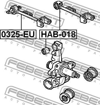 Febest 0325-EU - Neatkarīgās balstiekārtas svira, Riteņa piekare autodraugiem.lv