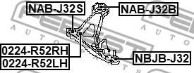 Febest 0224-R52RH - Neatkarīgās balstiekārtas svira, Riteņa piekare autodraugiem.lv