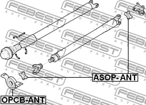 Febest ASOP-ANT - Šarnīrs, Garenvārpsta autodraugiem.lv