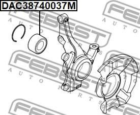 Febest DAC38740037M - Riteņa rumbas gultnis autodraugiem.lv