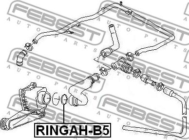 Febest RINGAH-B5 - Blīve, EGR vārsta cauruļvads autodraugiem.lv