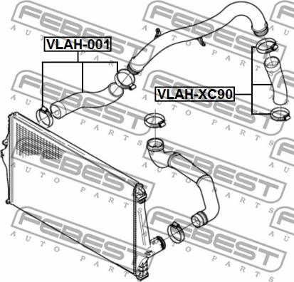 Febest VLAH-001 - Radiatora cauruļvads autodraugiem.lv