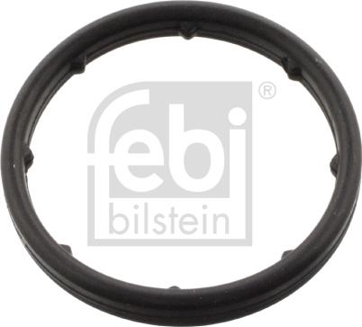 Febi Bilstein 101404 - Blīve, Eļļas radiators autodraugiem.lv