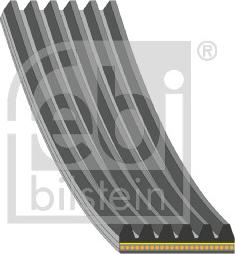 Febi Bilstein 183534 - Ķīļrievu siksna autodraugiem.lv