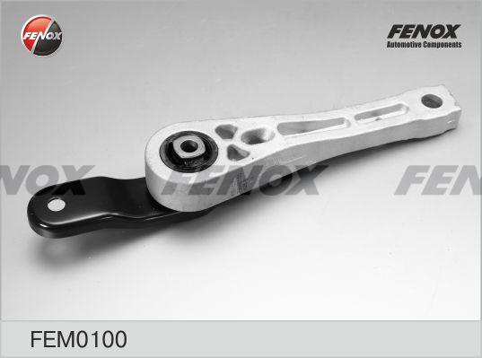 Fenox FEM0100 - Piekare, Dzinējs autodraugiem.lv