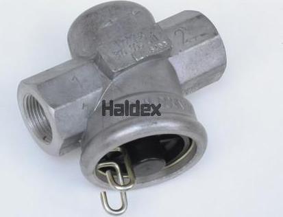 Haldex 310005011 - Gaisa filtrs autodraugiem.lv