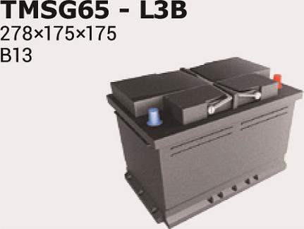 IPSA TMSG65 - Startera akumulatoru baterija autodraugiem.lv