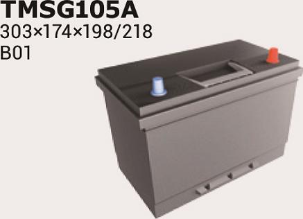 IPSA TMSG105A - Startera akumulatoru baterija autodraugiem.lv