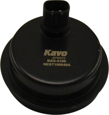 Kavo Parts BAS-9199 - Devējs, Riteņu griešanās ātrums autodraugiem.lv