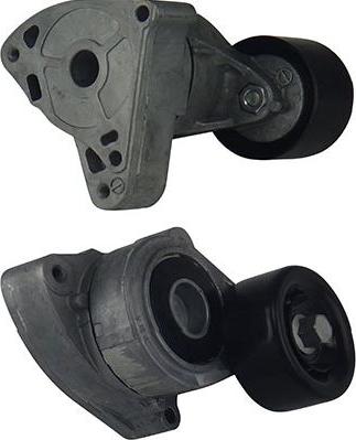 Kavo Parts DTP-2001 - Parazīt / Vadrullītis, Ķīļrievu siksna autodraugiem.lv