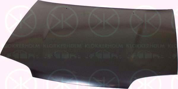 Klokkerholm 6811280 - Motora pārsegs autodraugiem.lv