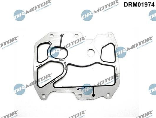 Lizarte DRM01974 - Blīve, Eļļas radiators autodraugiem.lv