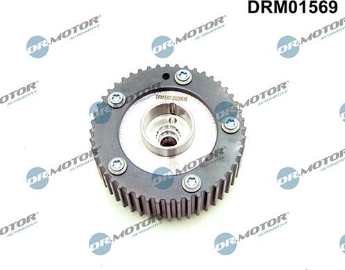 Lizarte DRM01569 - Sadales vārpstas regulēšanas mehānisms autodraugiem.lv