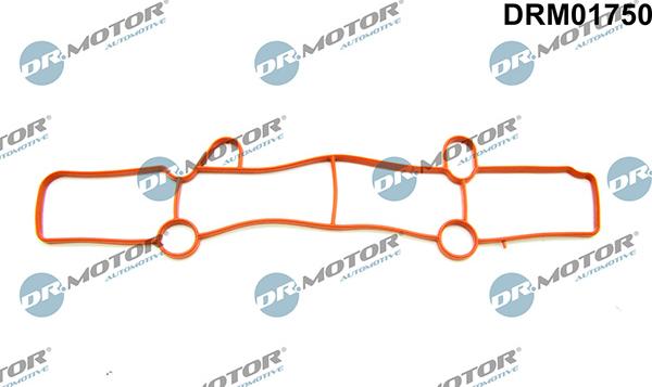 Lizarte DRM01750 - Blīve, Ieplūdes kolektors autodraugiem.lv