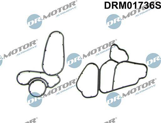 Lizarte DRM01736S - Blīvju komplekts, Eļļas radiators autodraugiem.lv