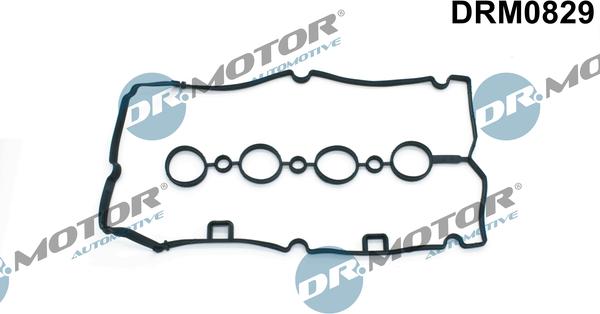 Lizarte DRM0829 - Blīve, Motora bloka galvas vāks autodraugiem.lv