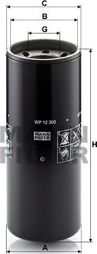 Mann-Filter WP 12 300 - Eļļas filtrs autodraugiem.lv