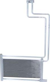 NRF 31136 - Eļļas radiators, Automātiskā pārnesumkārba autodraugiem.lv