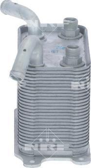NRF 31782 - Eļļas radiators, Automātiskā pārnesumkārba autodraugiem.lv