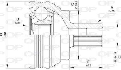 Open Parts CVJ5538.10 - Šarnīru komplekts, Piedziņas vārpsta autodraugiem.lv