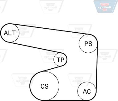 Optibelt 6 PK 1900KT1 - Ķīļrievu siksnu komplekts autodraugiem.lv