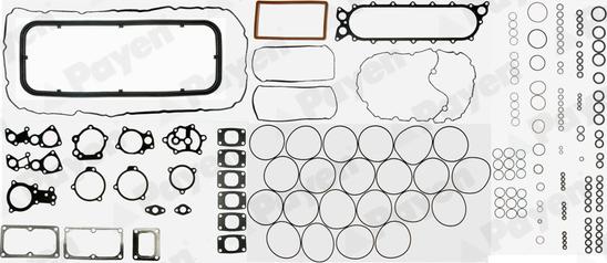 Payen FA5010 - Blīvju komplekts, Dzinējs autodraugiem.lv