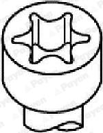 Payen HBS054 - Cilindru galvas skrūvju komplekts autodraugiem.lv