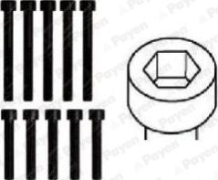 Payen HBS161 - Cilindru galvas skrūvju komplekts autodraugiem.lv