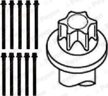Payen HBS102 - Cilindru galvas skrūvju komplekts autodraugiem.lv