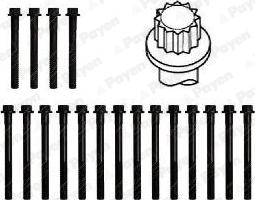 Payen HBS315 - Cilindru galvas skrūvju komplekts autodraugiem.lv
