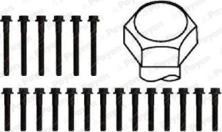 Payen HBS222 - Cilindru galvas skrūvju komplekts autodraugiem.lv