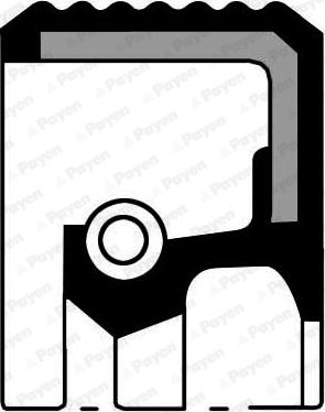 Payen NA5486 - Vārpstas blīvgredzens, Diferenciālis autodraugiem.lv