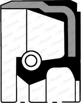 Payen NA5450 - Vārpstas blīvgredzens, Kloķvārpsta autodraugiem.lv