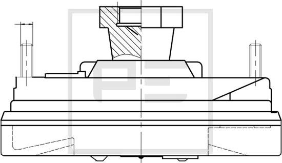 PE Automotive 100.235-00A - Sajūgs, Radiatora ventilators autodraugiem.lv