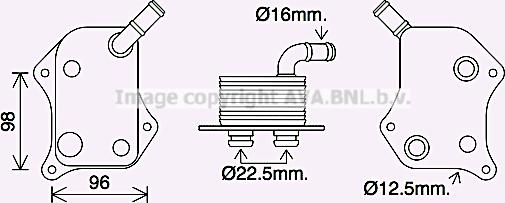 Prasco AI3414 - Eļļas radiators, Motoreļļa autodraugiem.lv