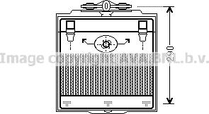 Prasco BW3400 - Eļļas radiators, Motoreļļa autodraugiem.lv
