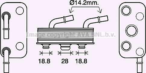 Prasco BW3559 - Eļļas radiators, Automātiskā pārnesumkārba autodraugiem.lv