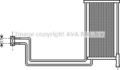 Prasco BW3368 - Eļļas radiators, Automātiskā pārnesumkārba autodraugiem.lv