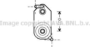 Prasco VN3110 - Eļļas radiators, Automātiskā pārnesumkārba autodraugiem.lv