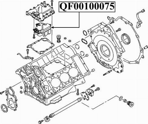Quattro Freni QF47A00003 - Vārsts, Motora kartera ventilācija autodraugiem.lv