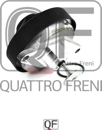 Quattro Freni QF00T01409 - Izpl. gāzu recirkulācijas vārsts autodraugiem.lv