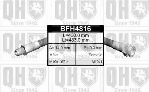 Quinton Hazell BFH4816 - Bremžu šļūtene autodraugiem.lv